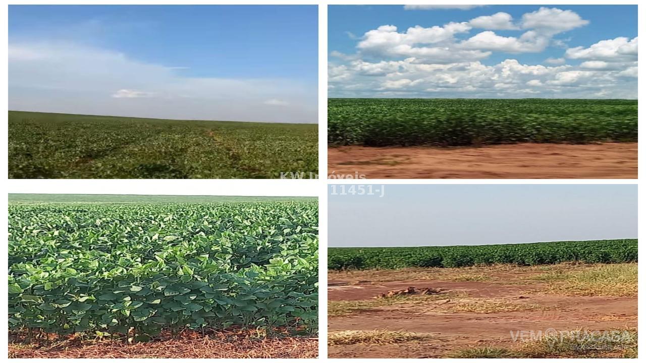 Fazenda à venda na Chácara das Mansões, Campo Grande – foto 1