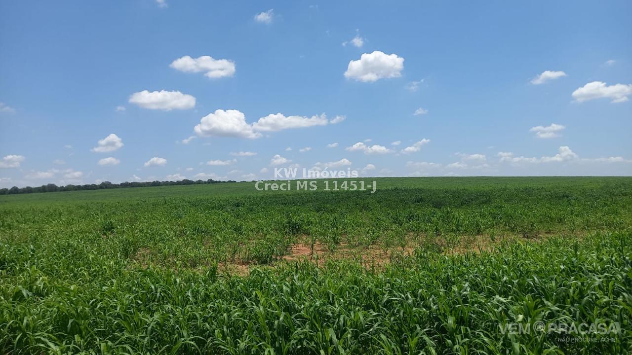 Fazenda à venda na Chácara das Mansões, Campo Grande – foto 2