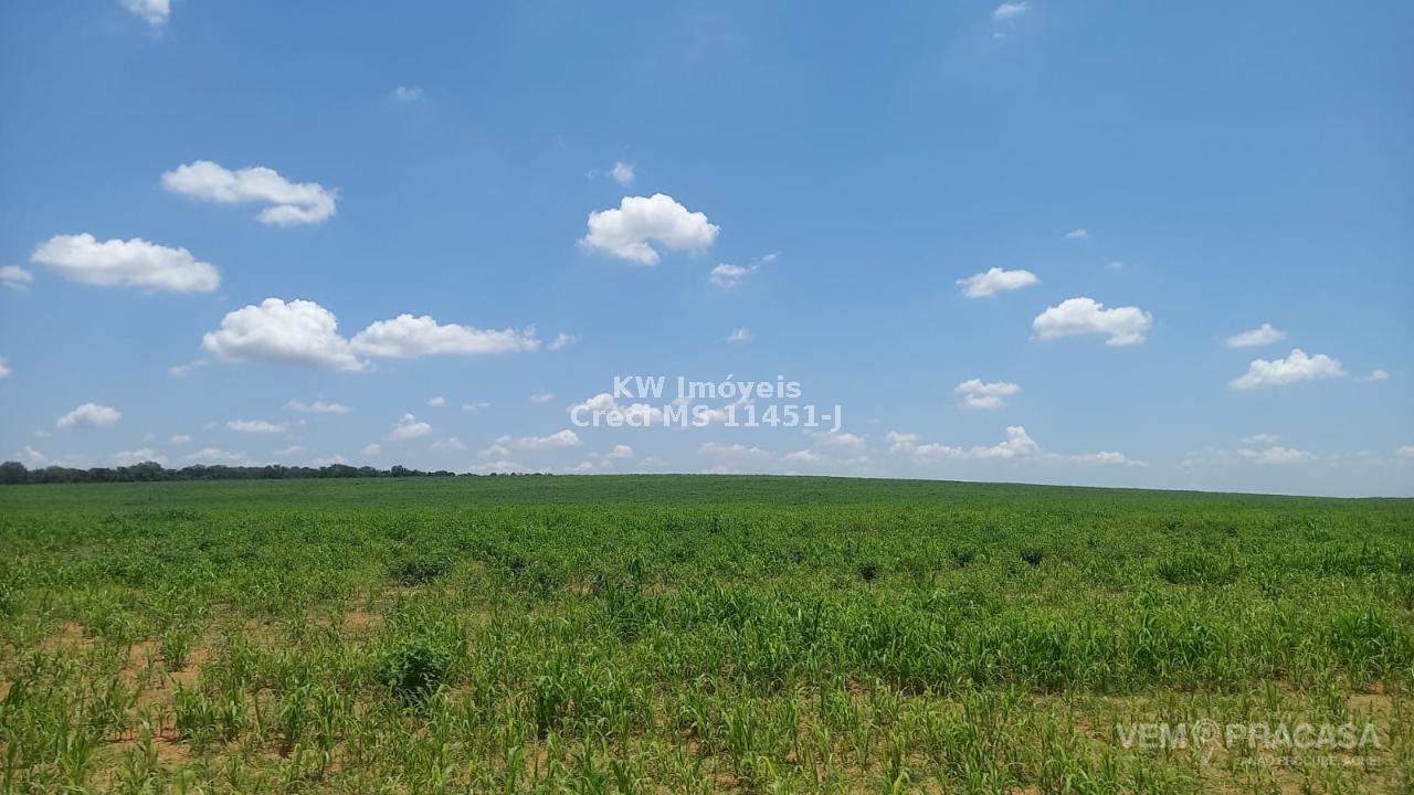 Fazenda à venda na Chácara das Mansões, Campo Grande – foto 4