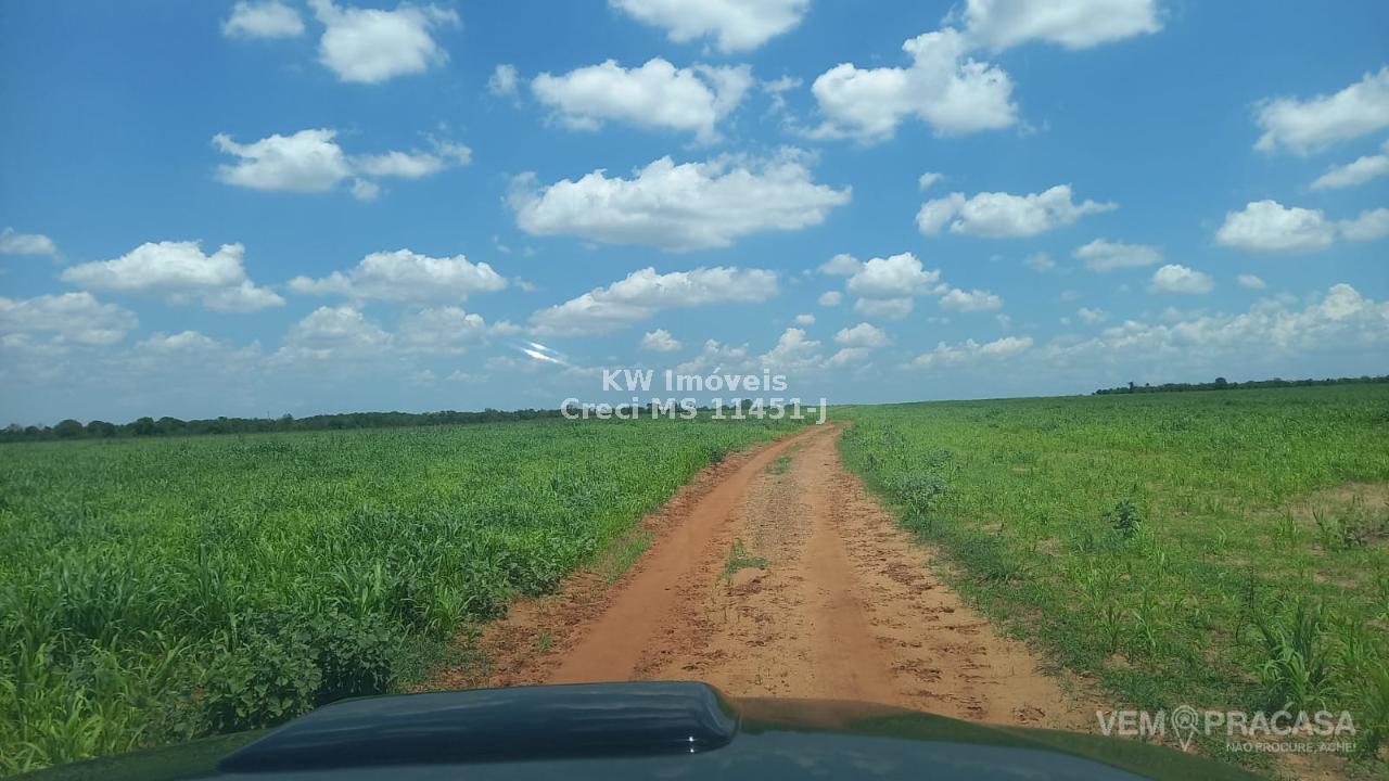Fazenda à venda na Chácara das Mansões, Campo Grande – foto 5