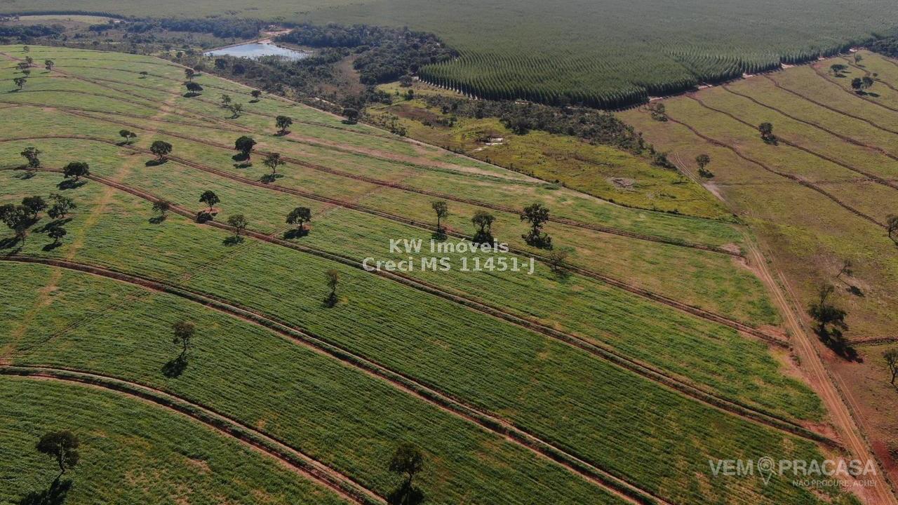 Fazenda à venda no Moreninha, Campo Grande – foto 4