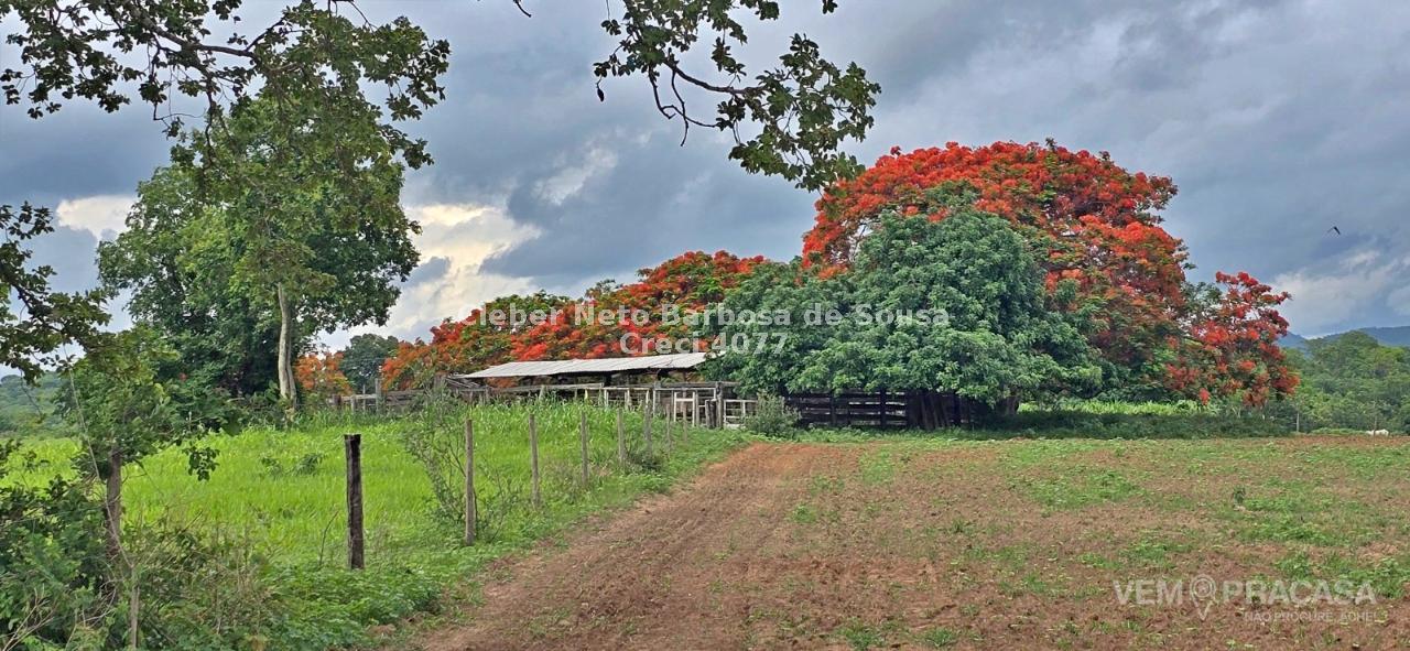 Fazenda à venda no Zona Rural, Rio Negro – foto 8