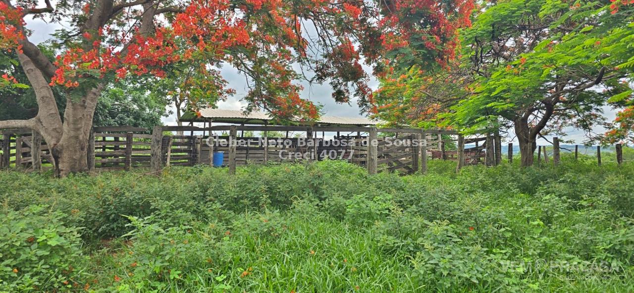Fazenda à venda no Zona Rural, Rio Negro – foto 4