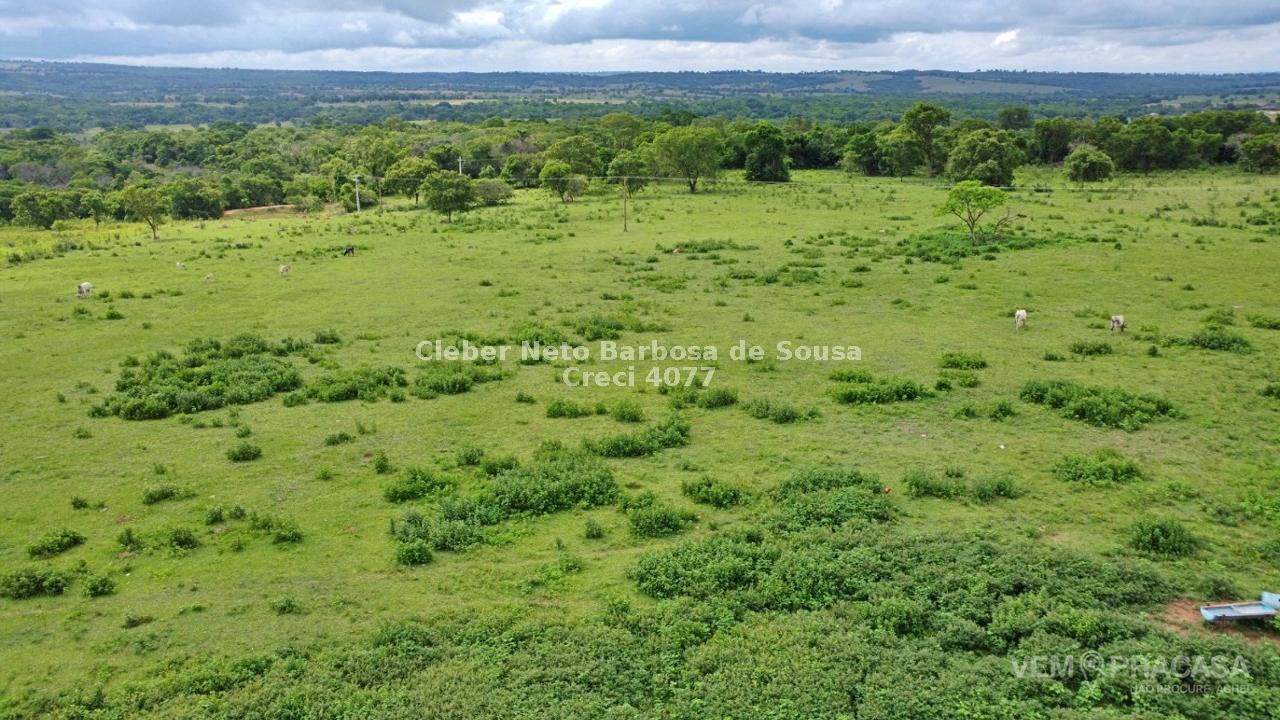 Fazenda à venda no Zona Rural, Rio Negro – foto 14