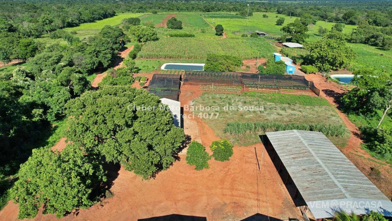 Fazenda à venda no Zona Rural, Terenos – foto 5