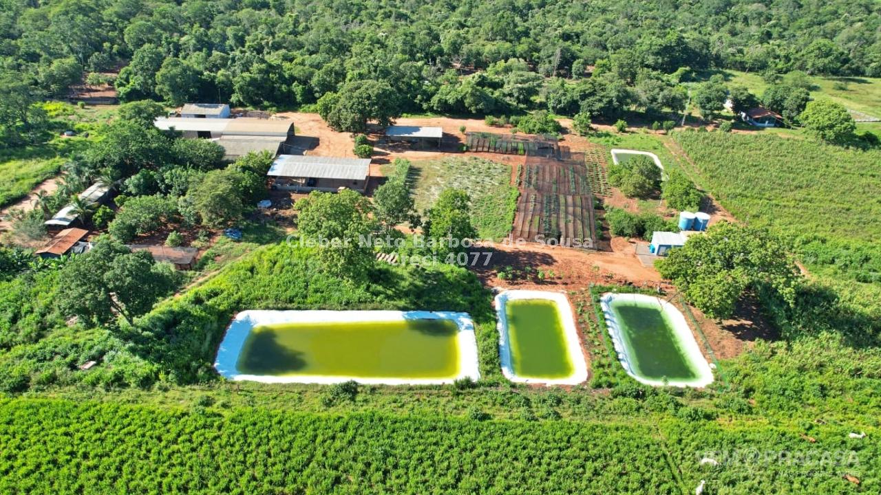 Fazenda à venda no Zona Rural, Terenos – foto 2