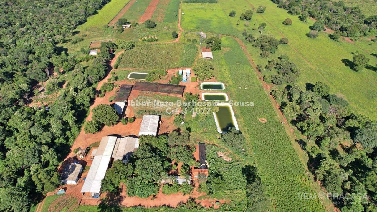 Fazenda à venda no Zona Rural, Terenos – foto 4