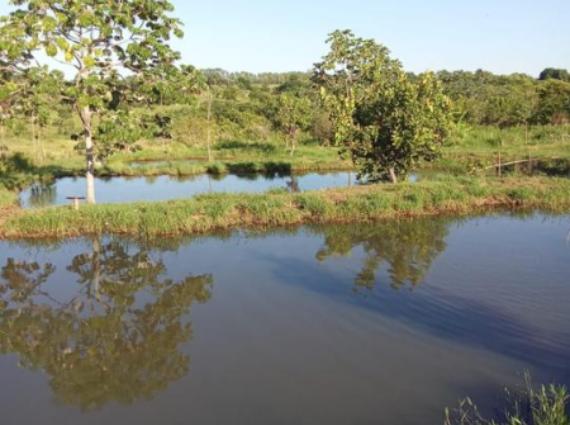 Chácara à venda no Zona Rural, Terenos