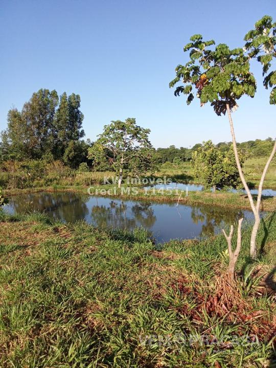 Chácara à venda no Zona Rural, Terenos – foto 6