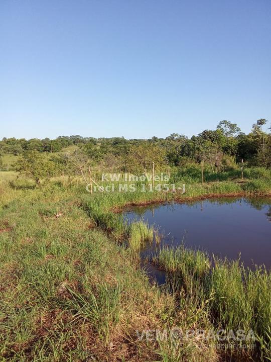 Chácara à venda no Zona Rural, Terenos – foto 7
