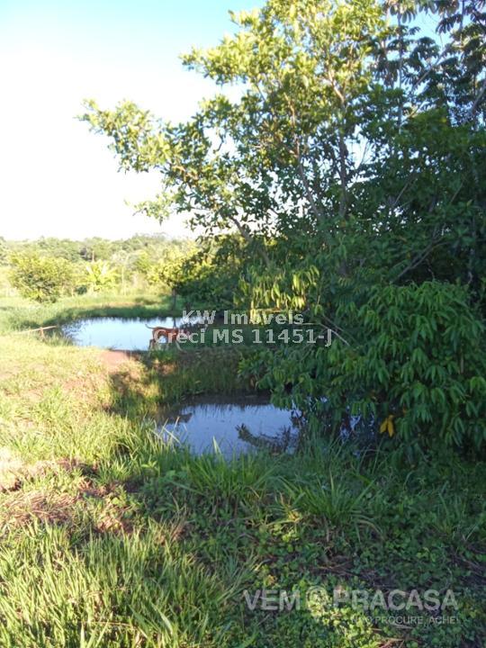 Chácara à venda no Zona Rural, Terenos – foto 11