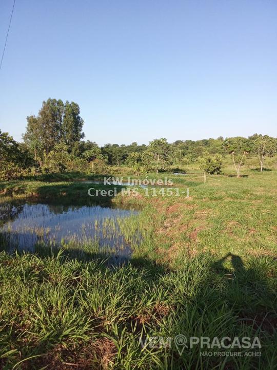 Chácara à venda no Zona Rural, Terenos – foto 12