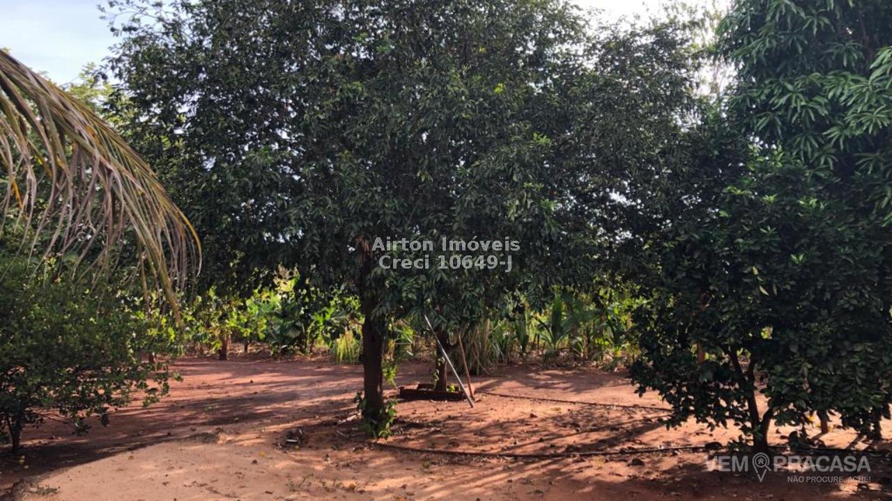 Chácara à venda no Zona Rural, Terenos – foto 17