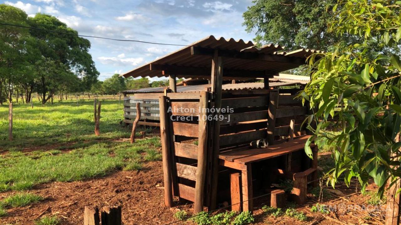 Chácara à venda no Zona Rural, Terenos – foto 15