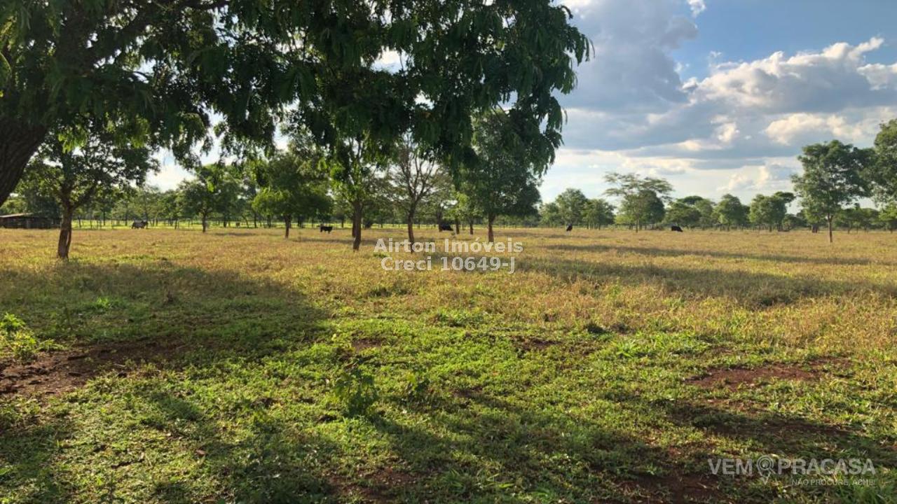 Chácara à venda no Zona Rural, Terenos – foto 3