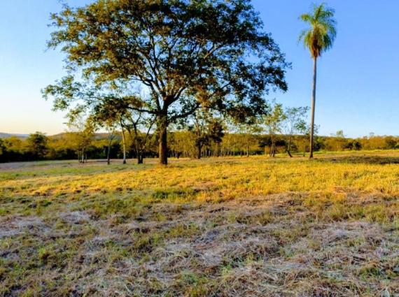 Chácara à venda na Vila Progresso, Campo Grande