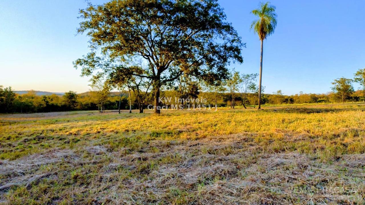 Chácara à venda na Vila Progresso, Campo Grande – foto 1
