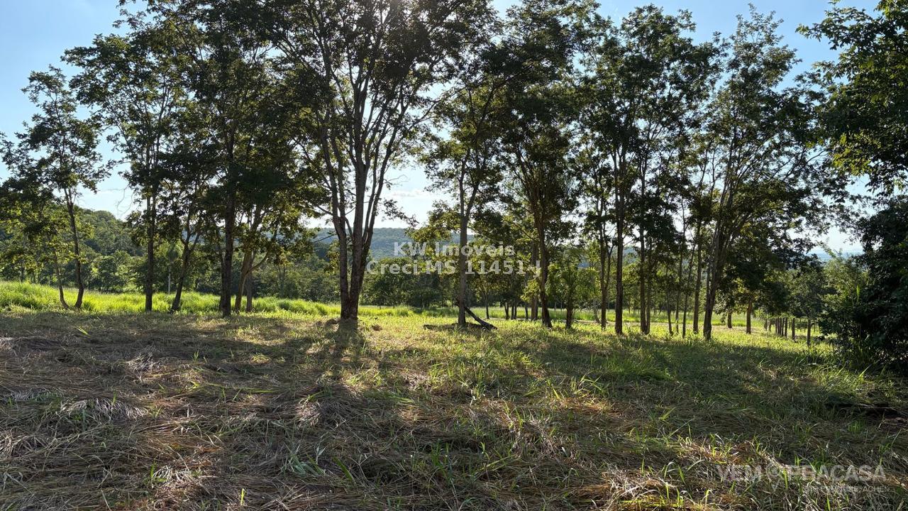 Chácara à venda na Vila Progresso, Campo Grande – foto 3