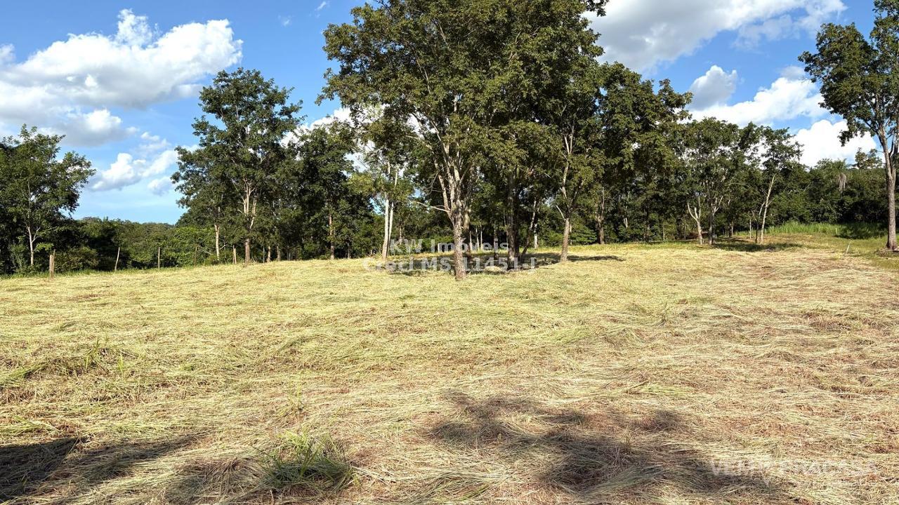 Chácara à venda na Vila Progresso, Campo Grande – foto 4