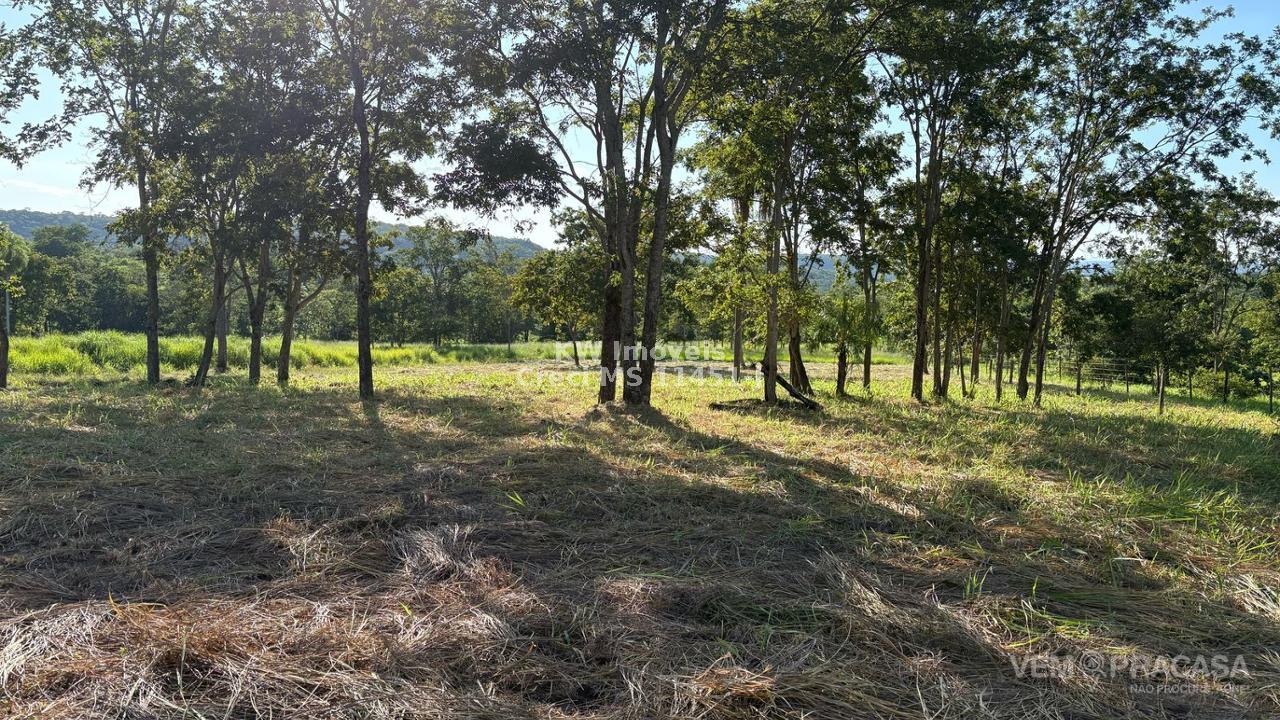 Chácara à venda na Vila Progresso, Campo Grande – foto 5