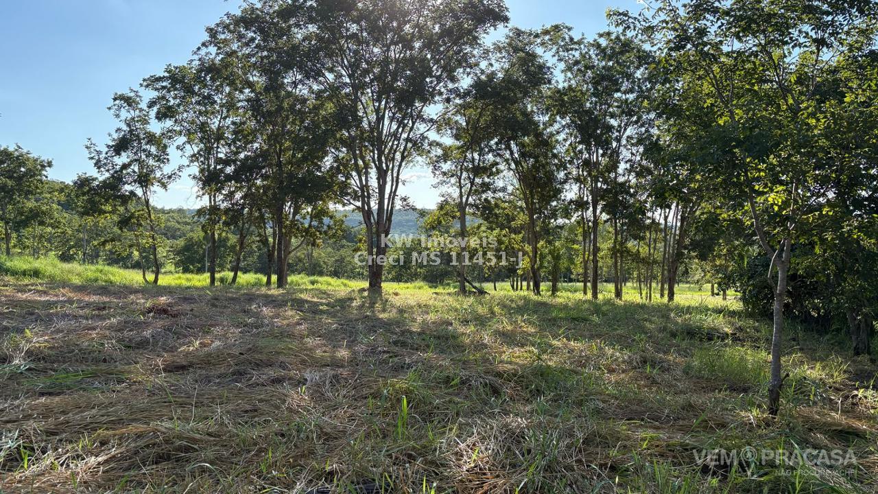 Chácara à venda na Vila Progresso, Campo Grande – foto 7
