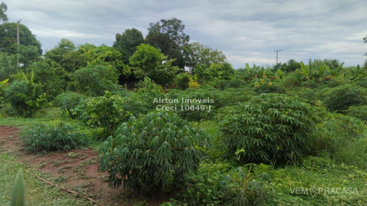 Chácara à venda no Zona Rural, Terenos – foto 26