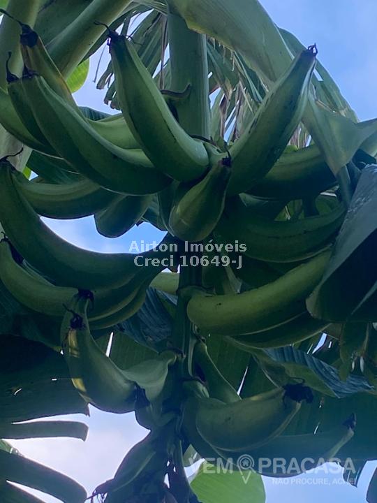 Chácara à venda no Zona Rural, Terenos – foto 30
