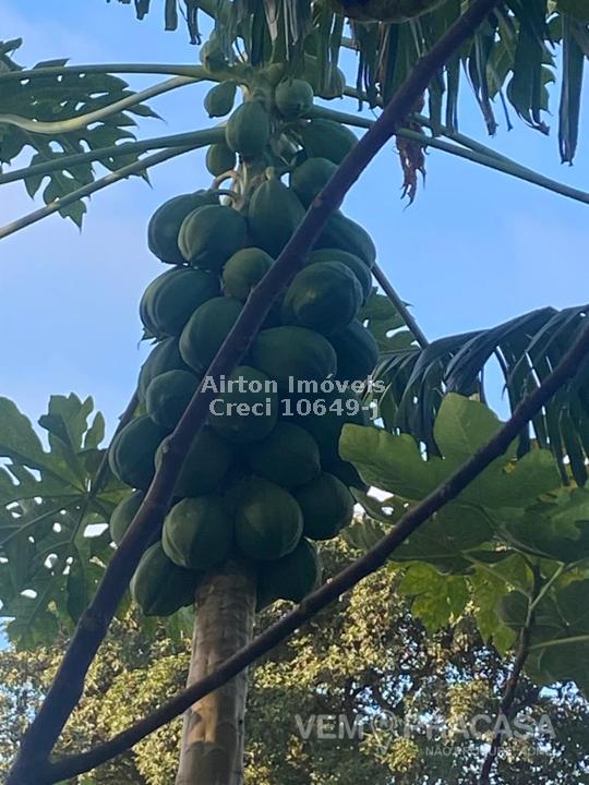 Chácara à venda no Zona Rural, Terenos – foto 32