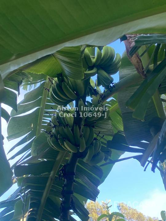 Chácara à venda no Zona Rural, Terenos – foto 31