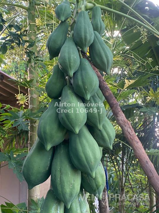 Chácara à venda no Zona Rural, Terenos – foto 34