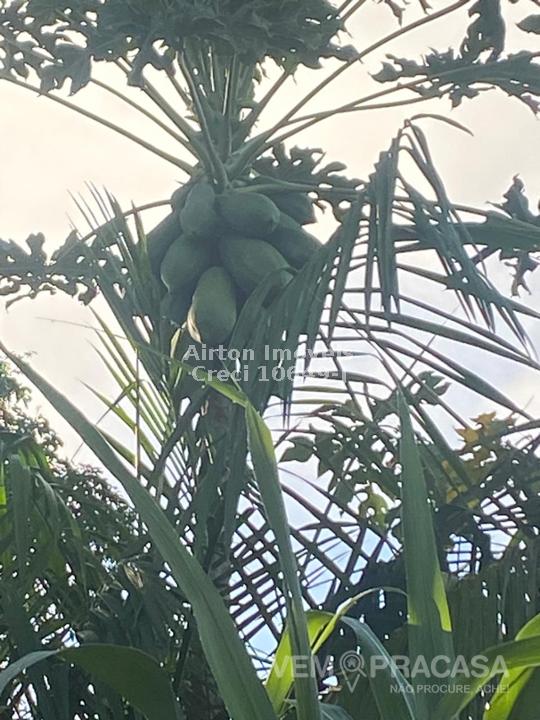 Chácara à venda no Zona Rural, Terenos – foto 33