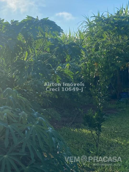 Chácara à venda no Zona Rural, Terenos – foto 28