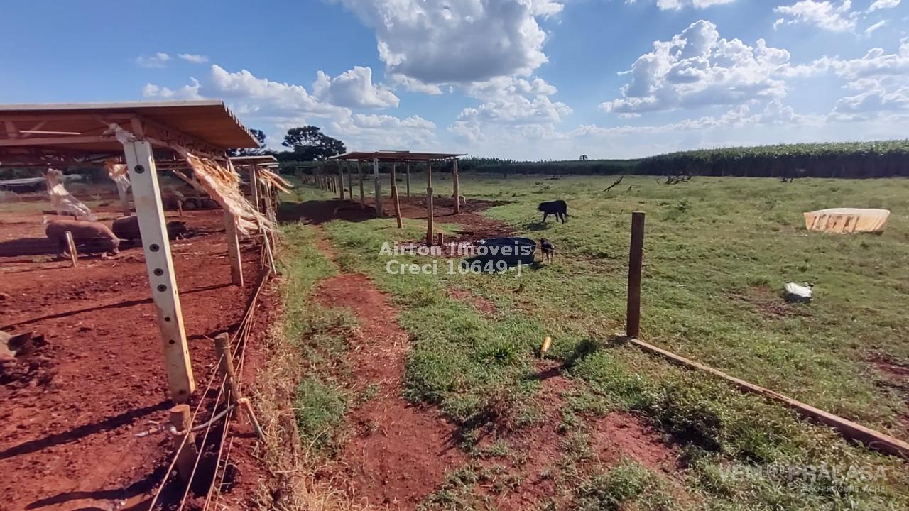 Chácara à venda no Zona Rural, Terenos – foto 23