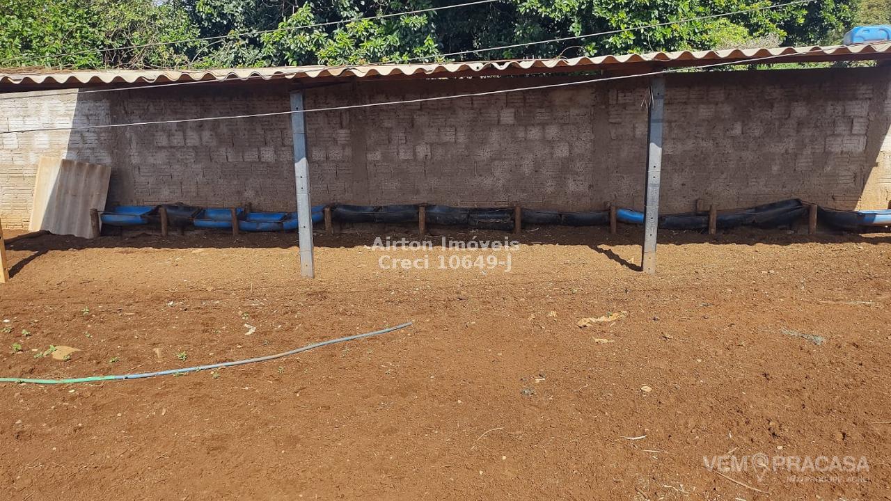 Chácara à venda no Zona Rural, Terenos – foto 15