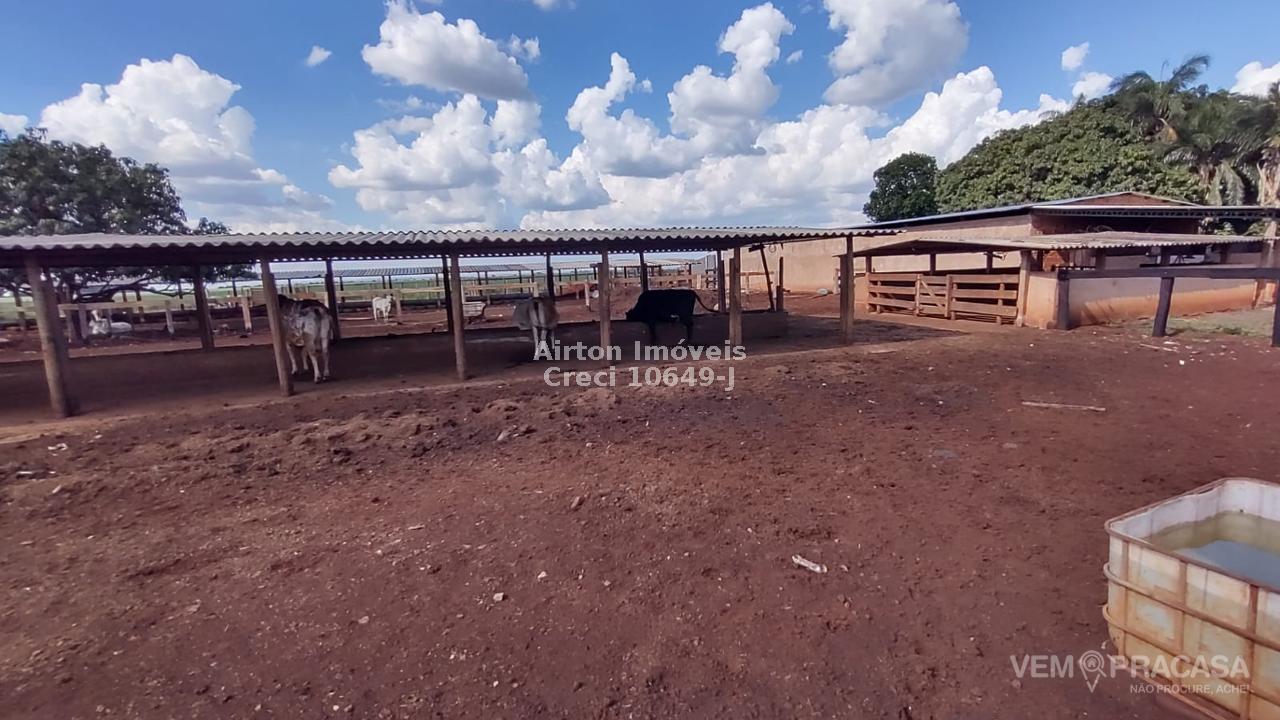 Chácara à venda no Zona Rural, Terenos – foto 11