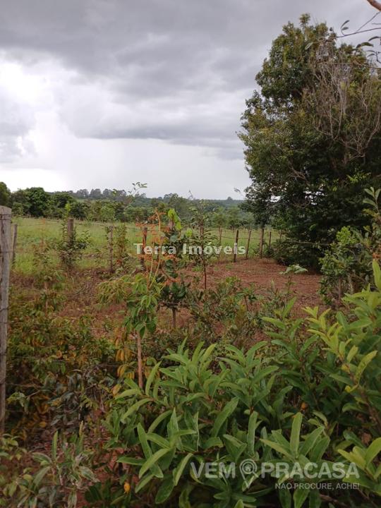 Chácara à venda no Nova Lima, Campo Grande – foto 4