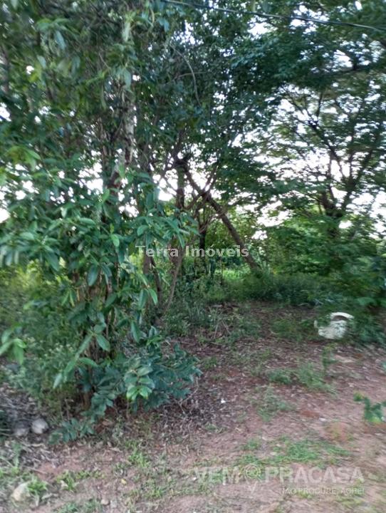 Chácara à venda no Nova Lima, Campo Grande – foto 8