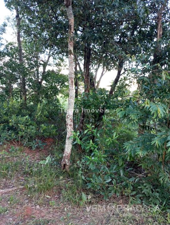 Chácara à venda no Nova Lima, Campo Grande – foto 10
