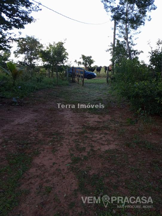 Chácara à venda no Nova Lima, Campo Grande – foto 11