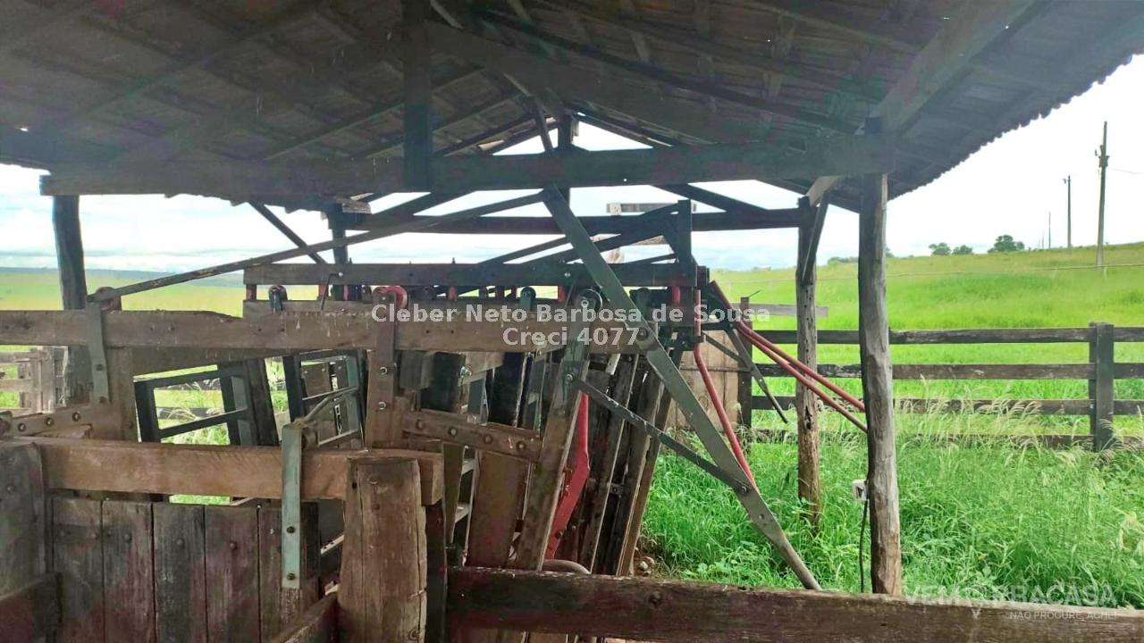Fazenda à venda no Zona Rural, Ribas do Rio Pardo – foto 23