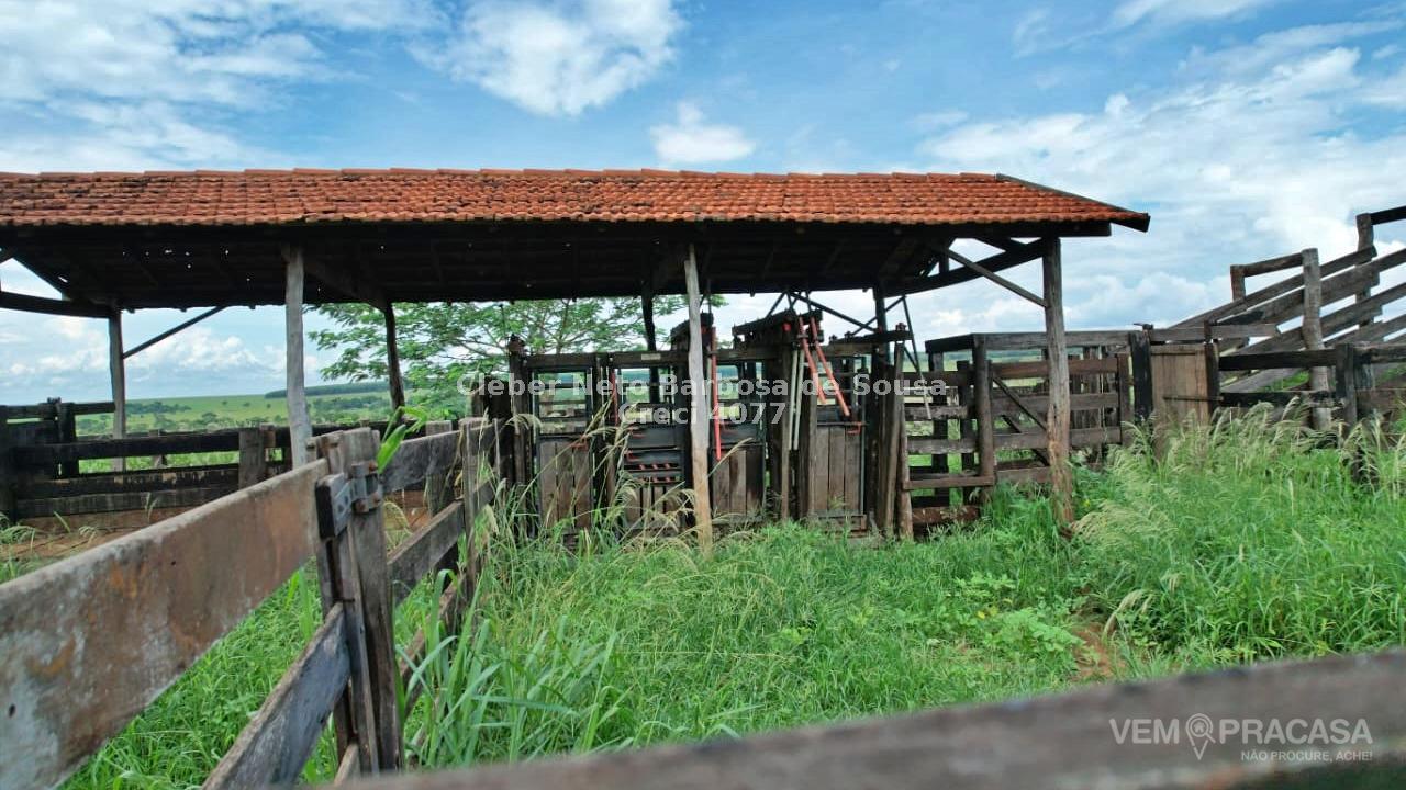 Fazenda à venda no Zona Rural, Ribas do Rio Pardo – foto 20