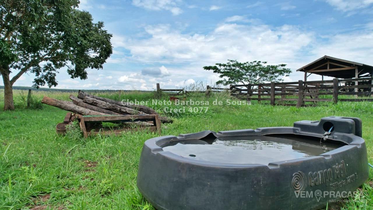 Fazenda à venda no Zona Rural, Ribas do Rio Pardo – foto 27