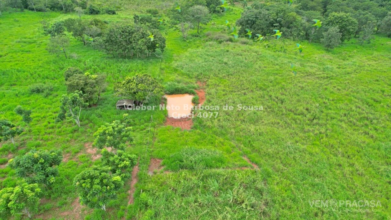 Fazenda à venda no Zona Rural, Ribas do Rio Pardo – foto 32