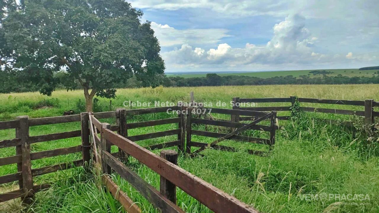 Fazenda à venda no Zona Rural, Ribas do Rio Pardo – foto 24