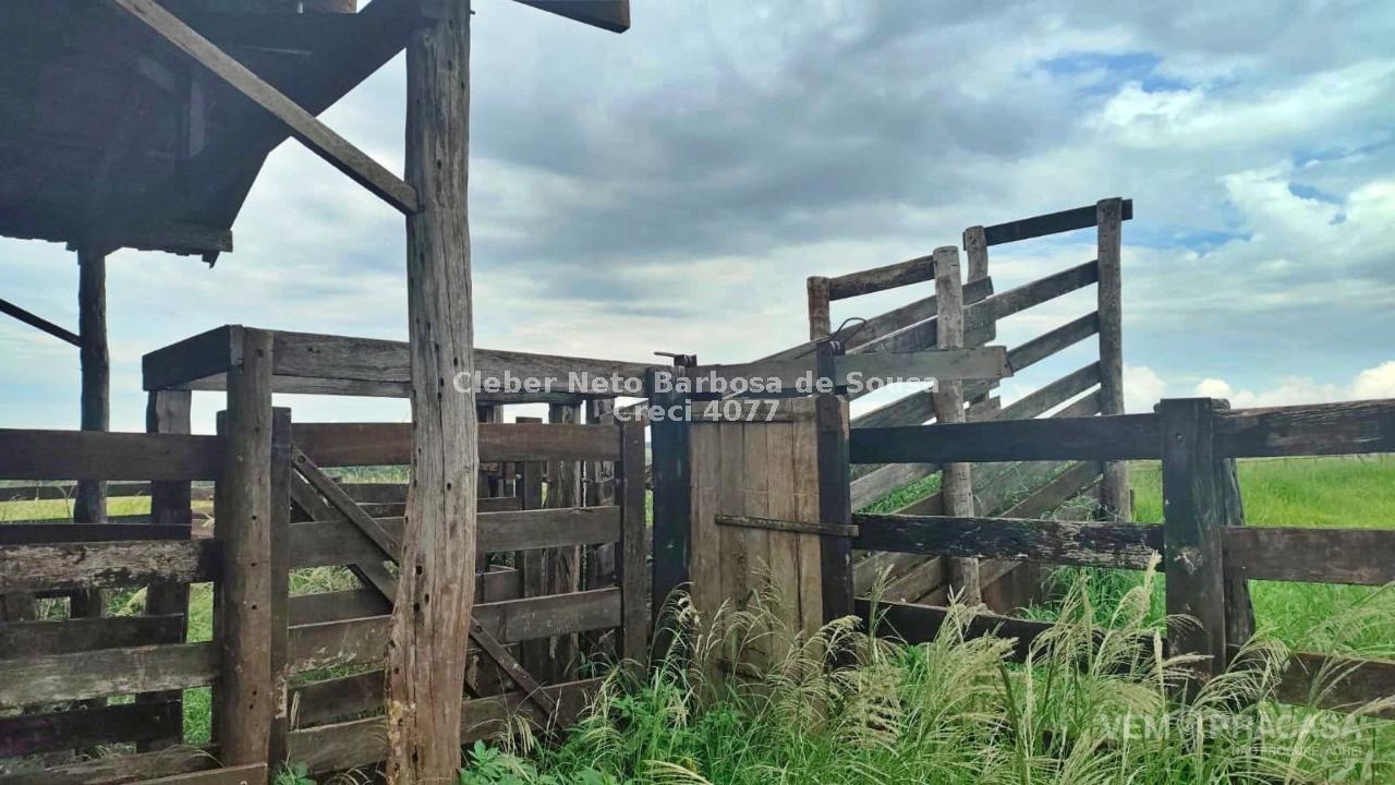Fazenda à venda no Zona Rural, Ribas do Rio Pardo – foto 21