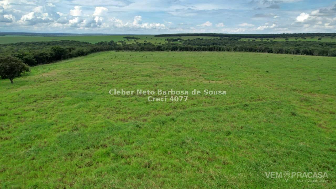 Fazenda à venda no Zona Rural, Ribas do Rio Pardo – foto 33
