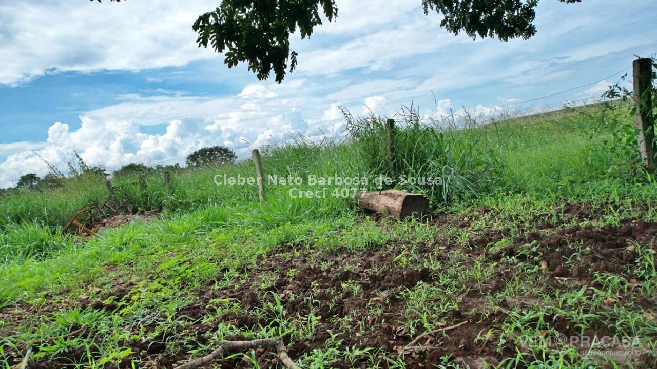 Fazenda à venda no Zona Rural, Ribas do Rio Pardo – foto 29