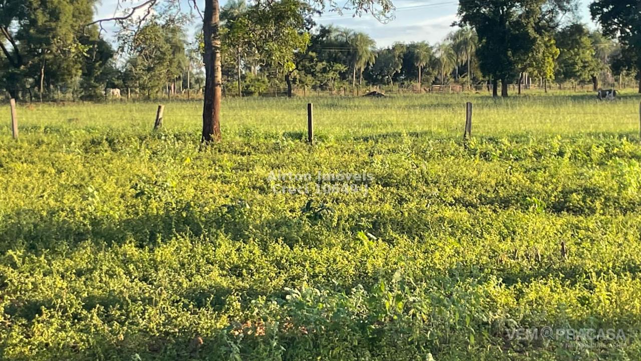 Chácara à venda no Zona Rural, Guia Lopes da Laguna – foto 5