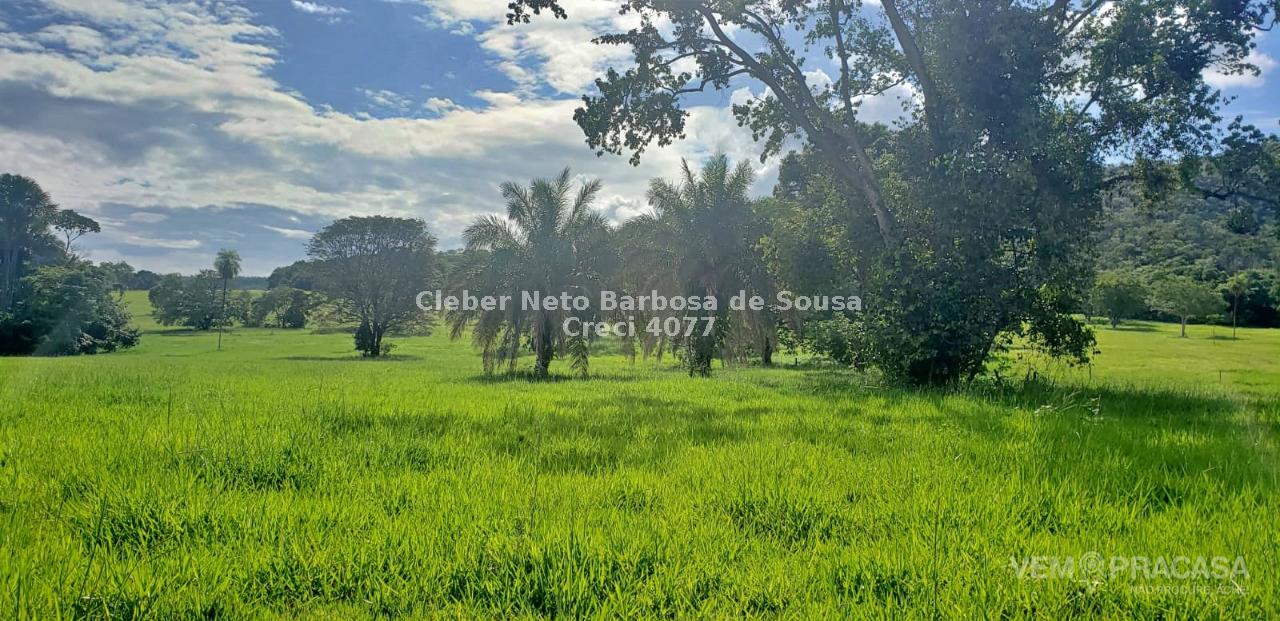 Fazenda à venda no Zona Rural, Rio Verde de Mato Grosso – foto 9