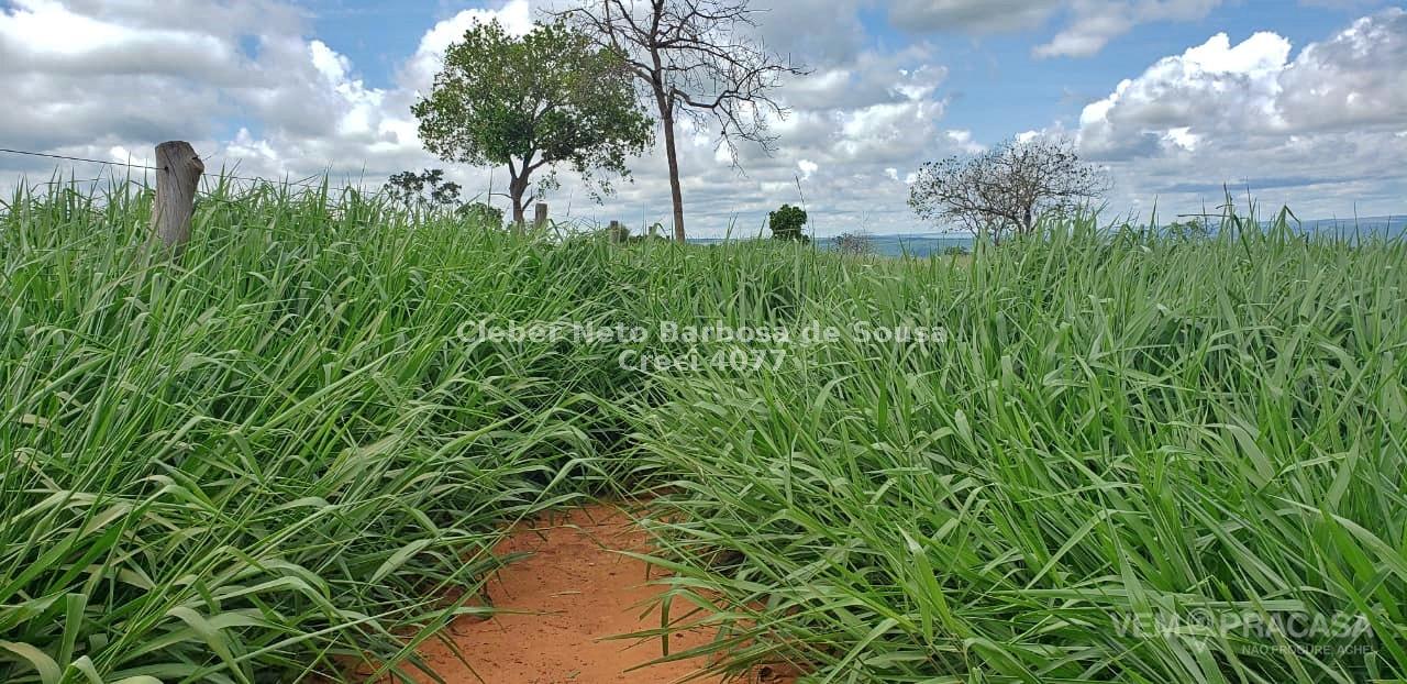 Fazenda à venda no Zona Rural, Rio Verde de Mato Grosso – foto 13